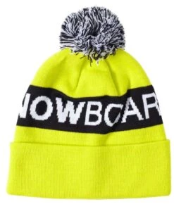DC Chester Beanie 2021-2022 -Ski Supplies Store DC dc chester beanie 2021 2022 179942488 ski pro