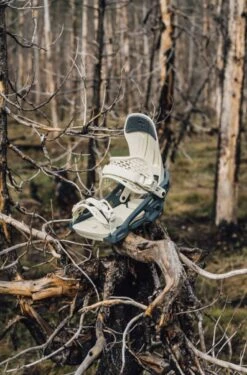 Arbor Ladies Acacia Snowboard Bindings 2021-2022 -Ski Supplies Store New ARBOR 12W acacia w binding 12w689714862