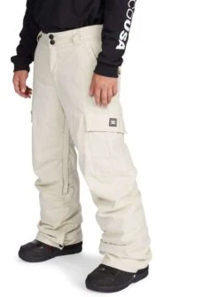 DC Banshee Insulated Pants 2021-2022 -Ski Supplies Store dc banshee insulated pants 2021 2022 306815407