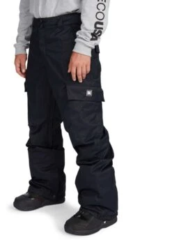 DC Banshee Insulated Pants 2021-2022 -Ski Supplies Store dc banshee insulated pants 2021 2022 898149936