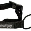 Oneball Back N Black Leash 2022-2023 -Ski Supplies Store oneball back n black leash 2022 2023 ski pro 447811948